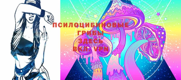 крисы Арсеньев