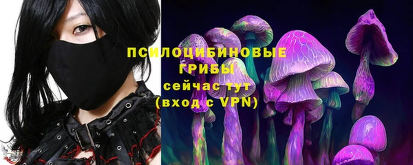 бошки Алексеевка