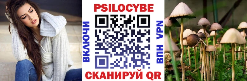 Купить закладки  Куртамыш  Псилоцибиновые грибы Psilocybe 